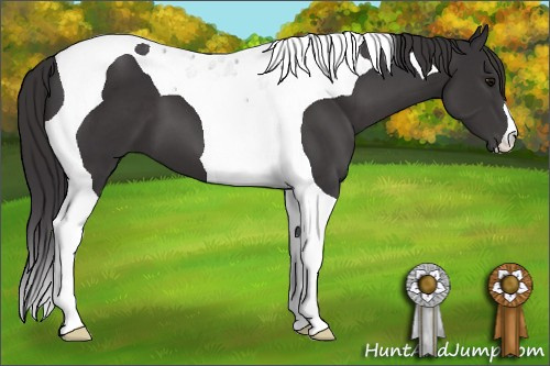 Horse Color: Buckskin Tobiano 