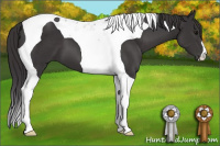 Horse Color:Buckskin Tobiano 