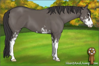 Horse Color:Smoky Grullo Sabino 