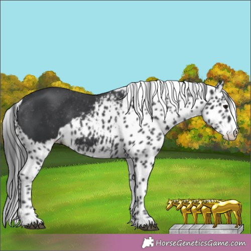 Horse Color:Unknown 