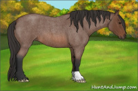 Horse Color:Bay Roan