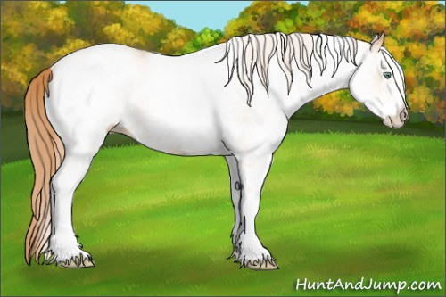 Horse Color: White Spotted Buckskin Pearl 