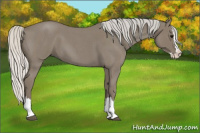 Horse Color:Silver Smoky Blue Roan Splash 