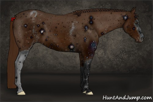 Horse Color: ERROR: UNKNOWN ANOMALY