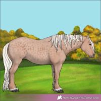 Horse Color:Silver Black 