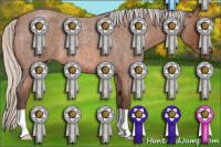 Horse Color:Silver Bay Roan