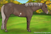Horse Color:Silver Black Frame 