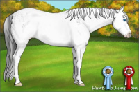 Horse Color:White Spotted Black Splash Blanket 