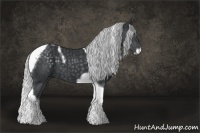 Horse Color:Silver Black Chinchilla Tobiano Frame 