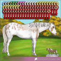 Horse Color:White Spotted Liver Chestnut Pearl Mushroom Appaloosa 