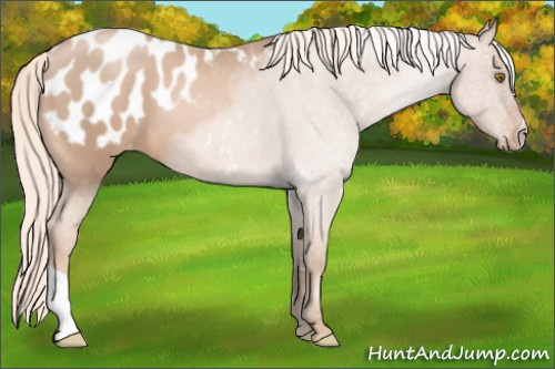 Horse Color: Liver Chestnut Pearl Mushroom Blanket 