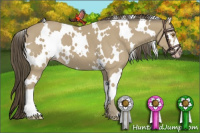 Horse Color:White Spotted Sable Cream Champagne