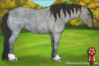 Horse Color:Buckskin Ice Roan 