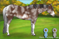 Horse Color:White Spotted Bay Tobiano Frame 