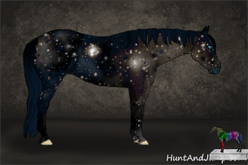 Horse Color: ERROR: UNKNOWN ANOMALY