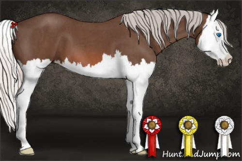 Horse Color: Silver Brown Roan Splash 