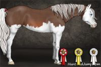 Horse Color:Silver Brown Roan Splash 