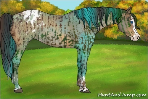 Horse Color: Brown Sabino Splash Blanket  and Sable Champagne Sabino Splash Blanket 