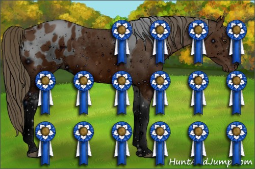 Horse Color: ERROR: UNKNOWN ANOMALY