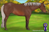 Horse Color:Silver Bay 