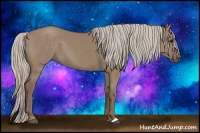 Horse Color:Silver Grullo 