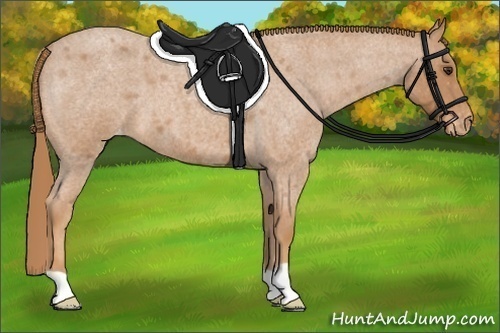 Horse Color: Red Roan Varnish 