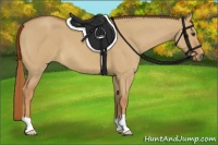 Horse Color:Red Dun Roan 