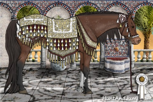 Horse Color: Bay Blanket Rabicano 