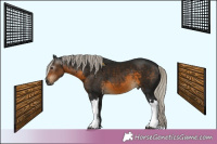 Horse Color:Gray Silver Buckskin 