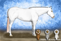 Horse Color:Amber Champagne Roan Appaloosa 