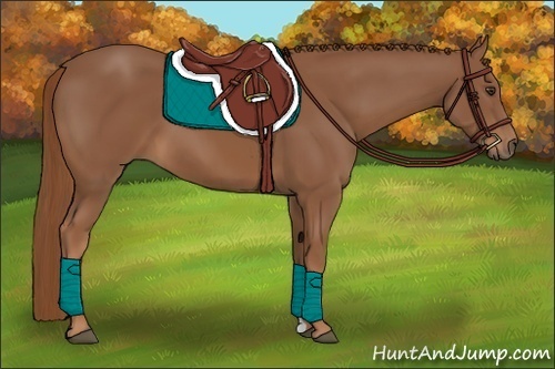 Horse Color: Unknown 