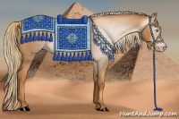 Horse Color:Gray Gold Champagne 