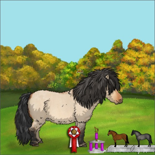 Horse Color:Bay Roan Dun 