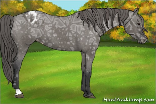Horse Color: Grullo Ice Varnish 