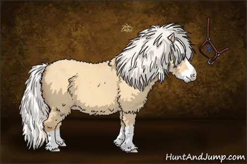 Horse Color:Silver Amber Cream Champagne Dun Splash 