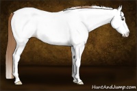 Horse Color:White Spotted Red Roan Splash Near Fewspot 