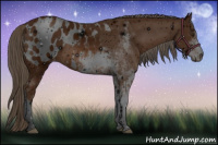 Horse Color:ERROR: UNKNOWN ANOMALY