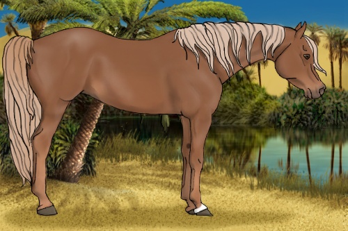 Horse Color: Chestnut 