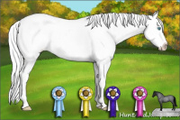 Horse Color:Cremello Roan Splash Near Leopard 