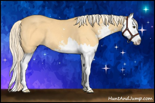 Horse Color: Palomino Dun Sabino Splash 
