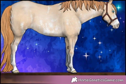Horse Color: Buckskin Pearl Sabino 