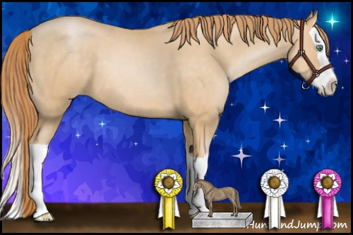Horse Color: Buckskin Pearl Splash 