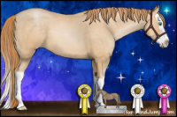 Horse Color:Buckskin Pearl Splash 