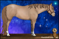 Horse Color:Brown Pearl 
