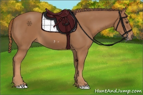 Horse Color:Chestnut Frame