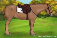 Horse Color:Chestnut Frame 