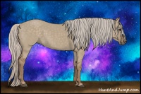 Horse Color:Silver Grullo 