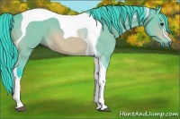 Horse Color:Watercolor Buckskin Tobiano 