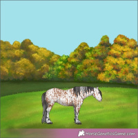 Horse Color:Bay  and Black Splash Fewspot 