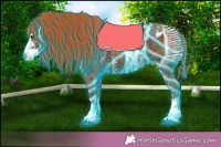 Horse Color:Thunderstruck Chestnut Ice Sabino Blanket 